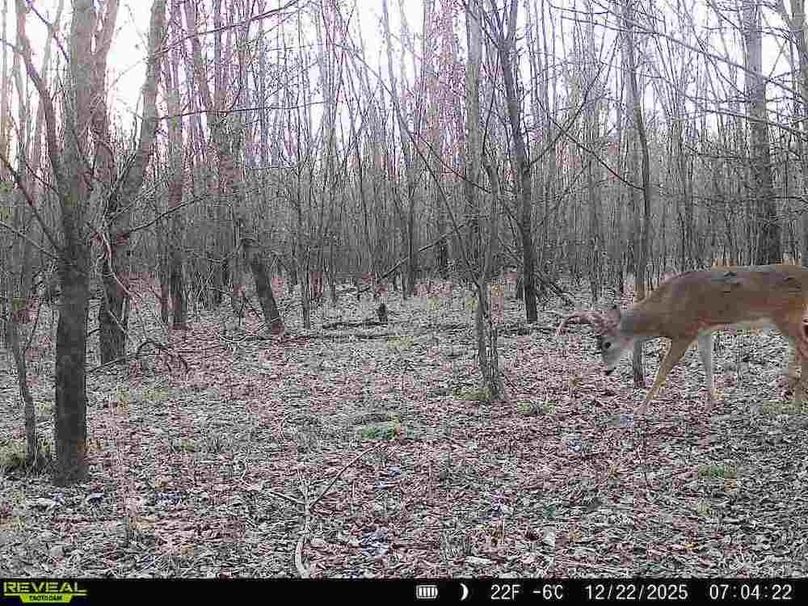 860516067589287-90-2-12222025070422-V-W1000445