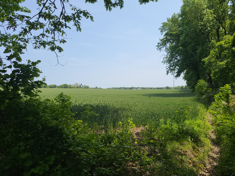 26.48ac_McKenneyLn_QAnnes_16