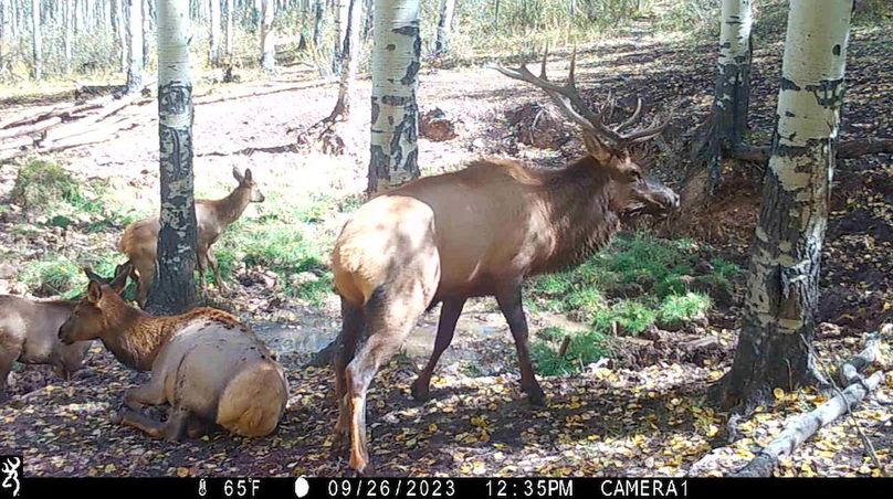 IMG_0090 - frame at 0m17s