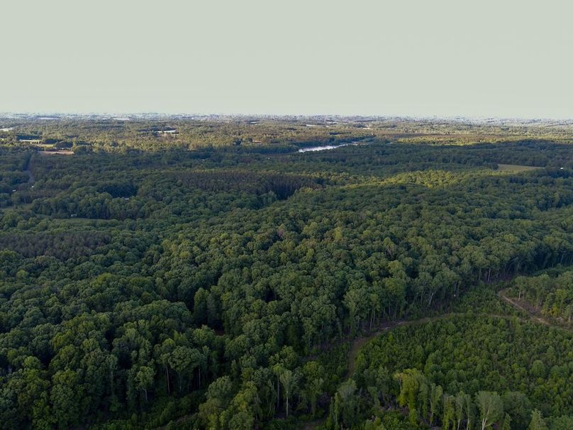 DJI_0542