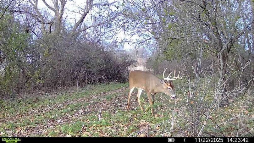 CAM 1
