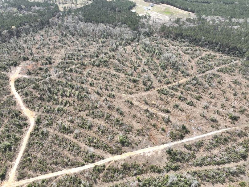 dji_fly_20260303_140200_299_1772637929516_photo