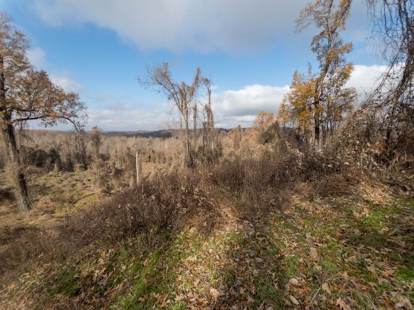 Yazoo Co - 75 - Batton-19