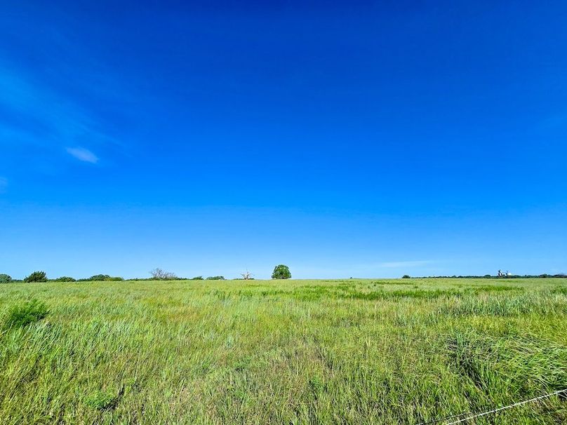 Copy of 20250729_085801