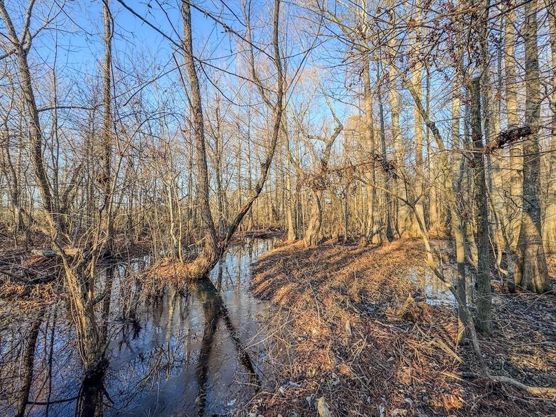 St. Francis 138.5 Calvin Parker Farms Profile -24