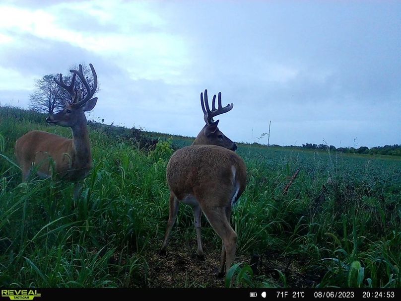 D9D75A80-12D8-4D61-9F25-201BE747447F