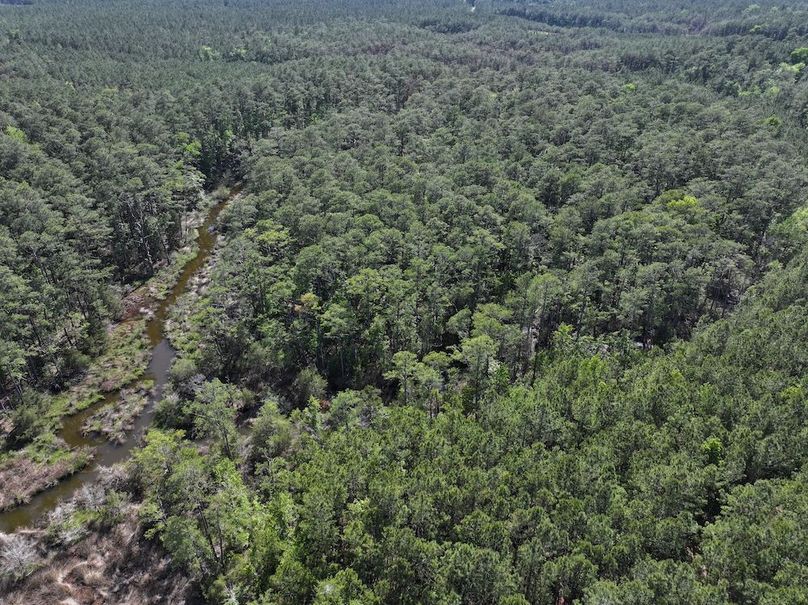 dji_fly_20260508_160238_0725_1778332722681_photo