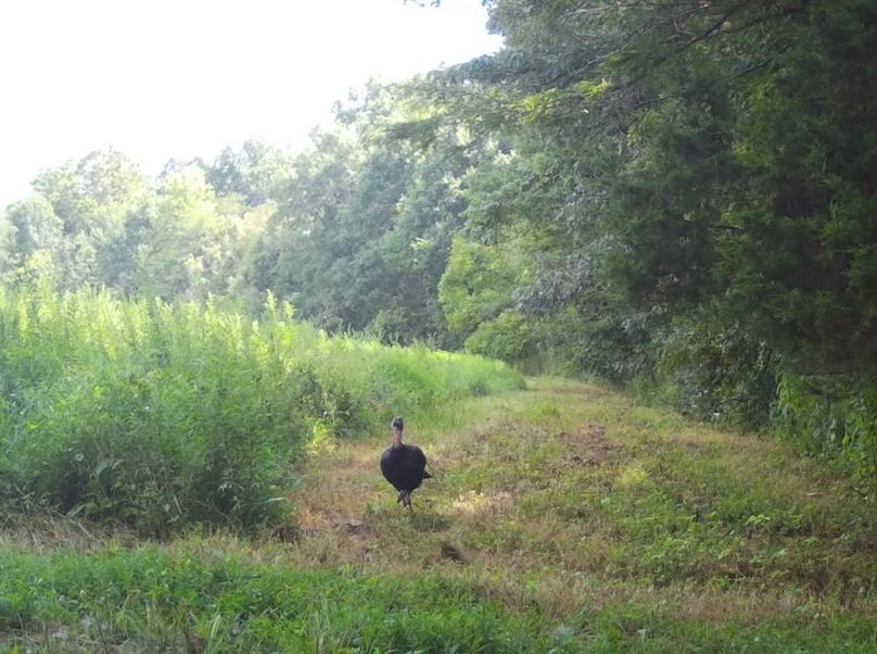 Copy of IMG_3202 Large