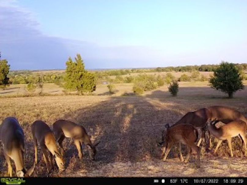 21d29460-1fb6-4173-a36d-b0ab029c92bc (2)