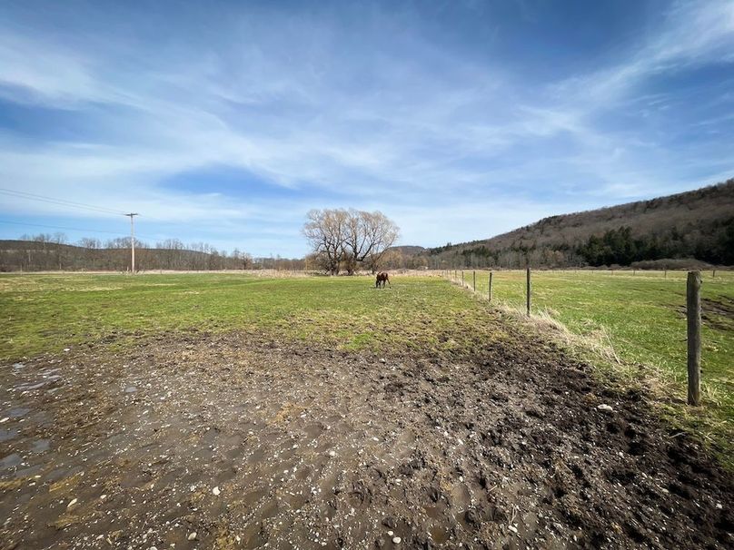 Tioga__NY_109.7_Burris_Photos_133