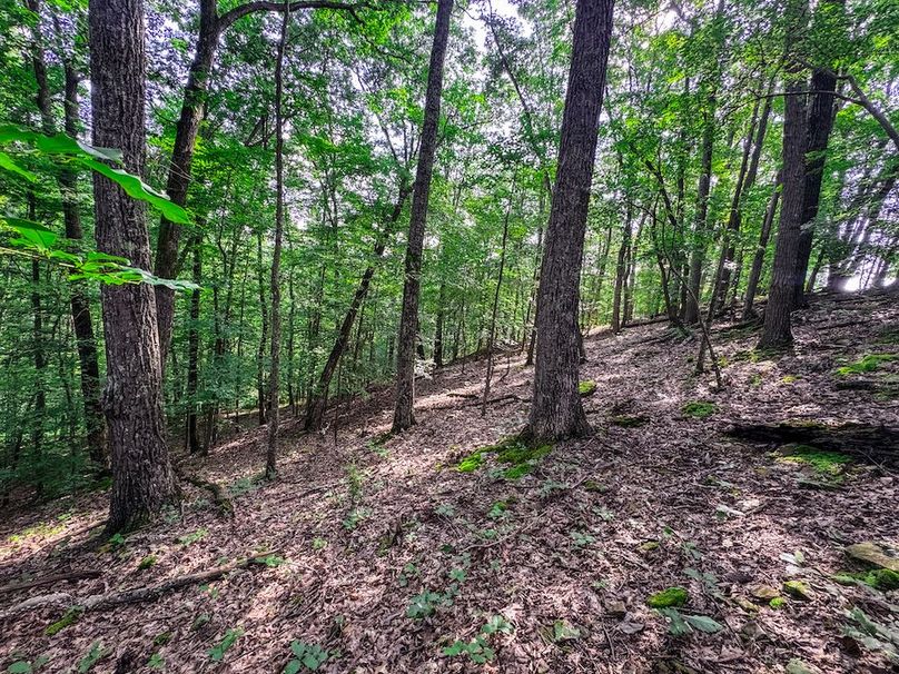 Lewis, WV 105 AC Miller-56