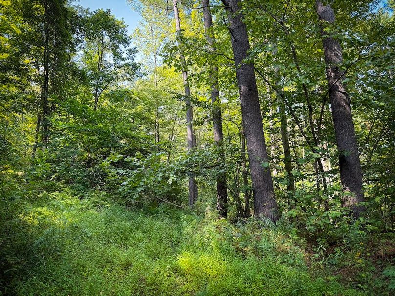 Tioga NY 86.705 Capwell Photos 28