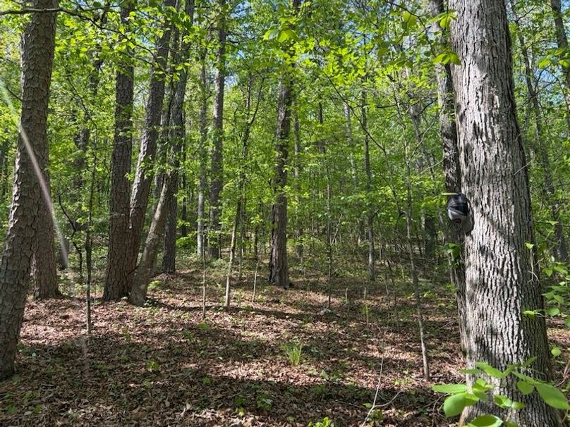 A83CCED1-6262-473A-9BE0-00B7956ABF1F_1_105_c