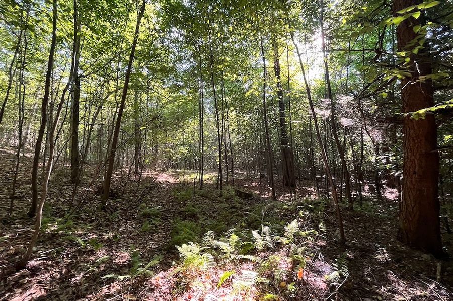 Chemung_20.000_Rouseland_Lot3_Photos_24