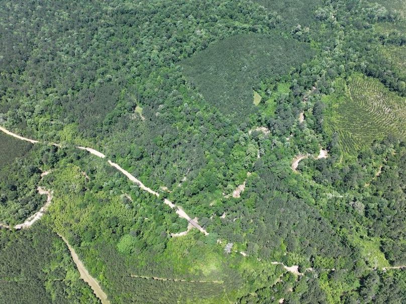 dji_fly_20260518_104204_0207_1779205356843_photo