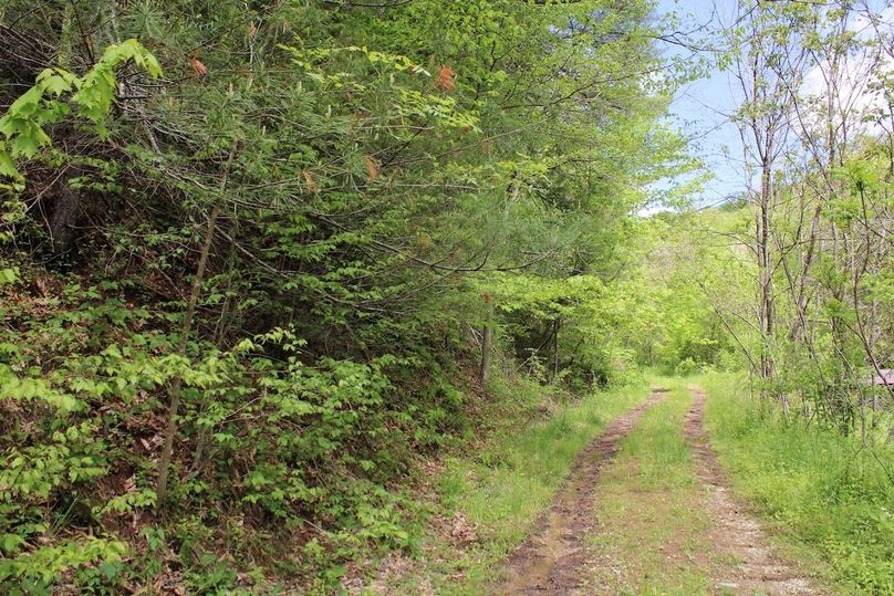 023 nice gravel_dirt access road