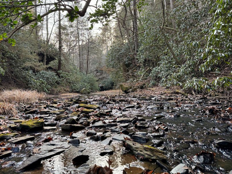 012 gushing waters of Lower Laurel Creek