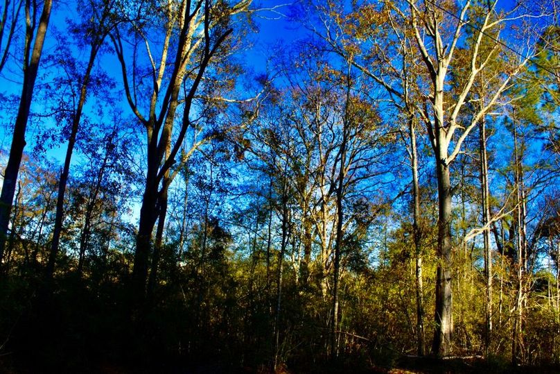 4E96FA8D-AD4A-4B2E-8341-238B306BFC1F_1_201_a-2