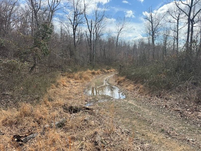 stone8020260306_0077