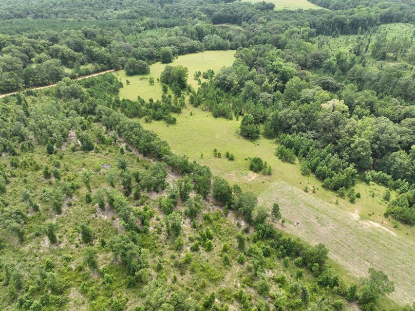 dji_fly_20230803_122650_487_1691080396241_photo