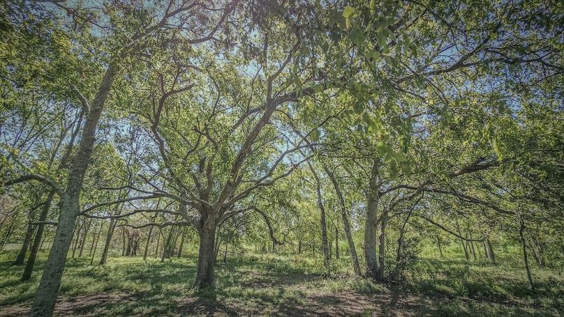 Copy of 20240909_115946