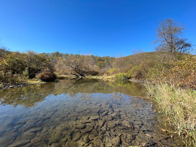 Schuyler_25.155_Ennis_Photos_3