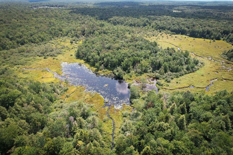 Oswego_100_Roof_Photos_28