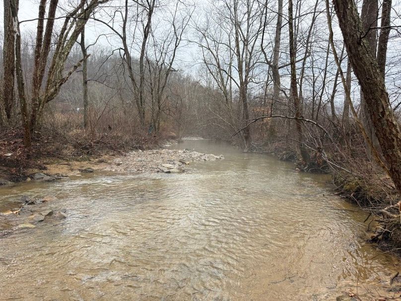 025 Left Fork of White Oak Creek to the north of the entrance bridge
