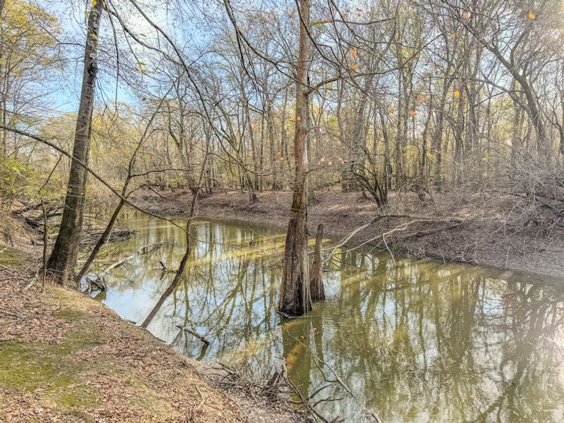 St. Francis 216.9 Calvin Parker Farms Profile -50