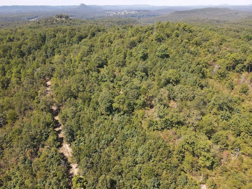 dji_fly_20250902_122206_761_1756833740110_photo