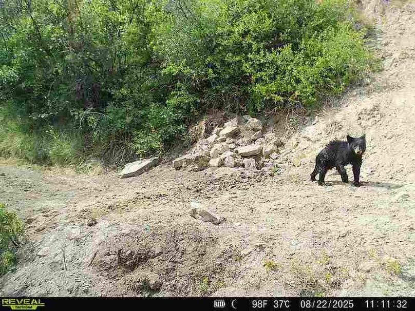 860516063676799-100-3-08222025111132-V-W1000211