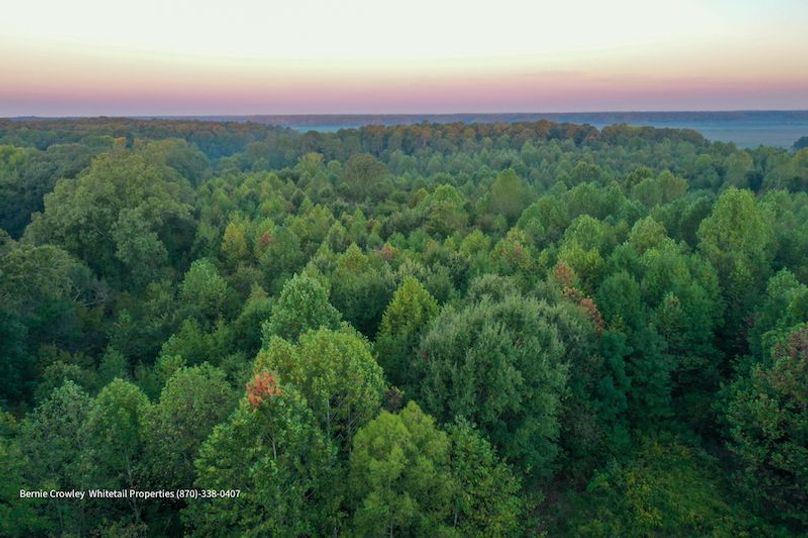 DeSoto 329 Prewett (Thompson) -13