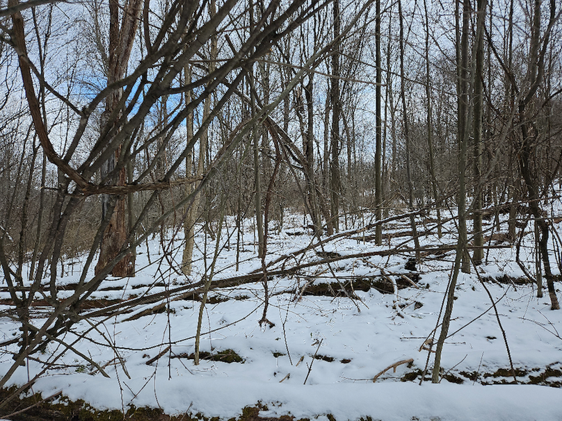 photo_19fbea22-cefc-40b2-af38-44552c53d284