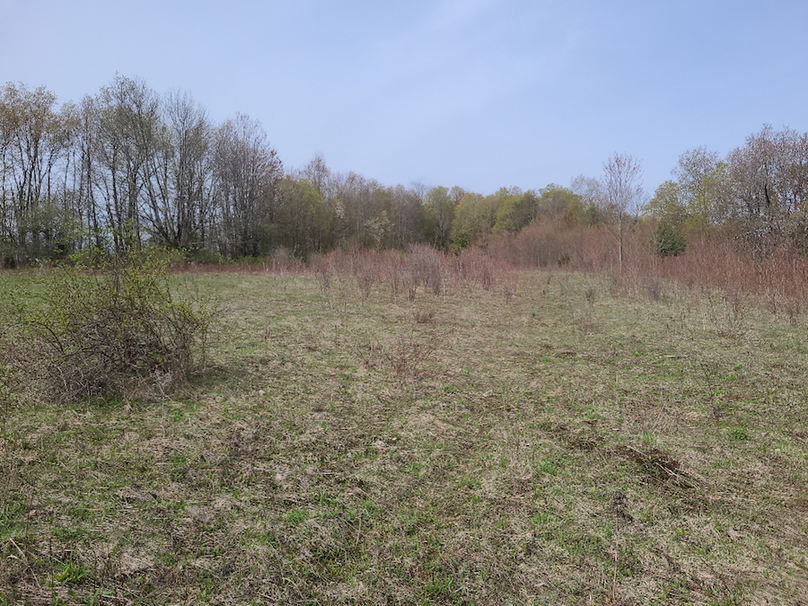 photo_3402271b-b4d7-4e28-b5fe-e22f4d71b1de