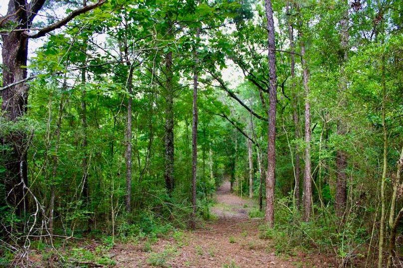 05EFBE0C-AF7C-4926-B883-F38DE96E1829_1_105_c