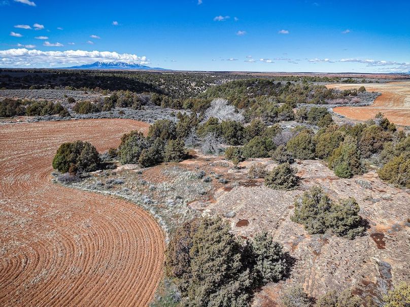 DJI_20260307125744_0089_D