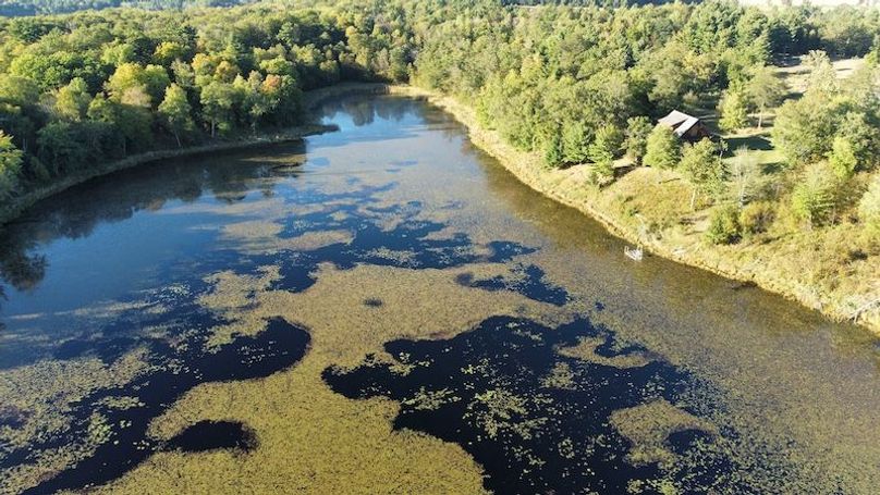 dji_fly_20240925_171356_914_1727302446322_photo_optimized