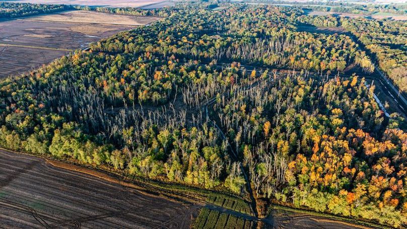 DJI_20251030190844_0004_D