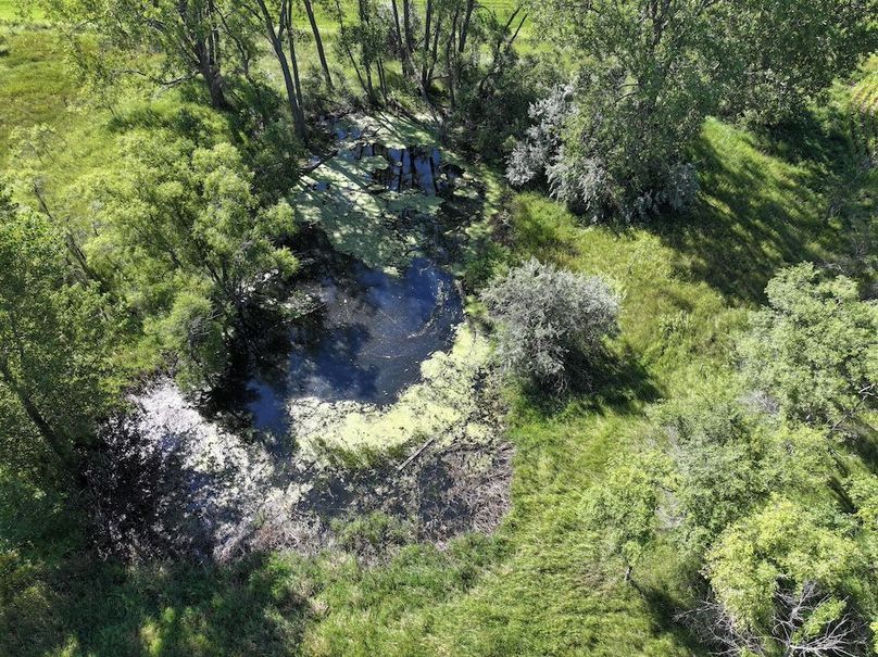 DJI_20250722151930_0680_D