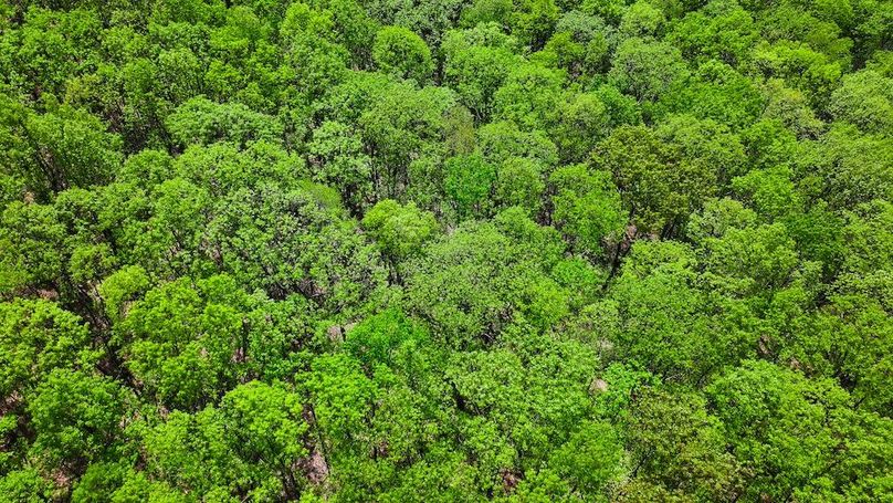 DJI_20250508022911_0126_D