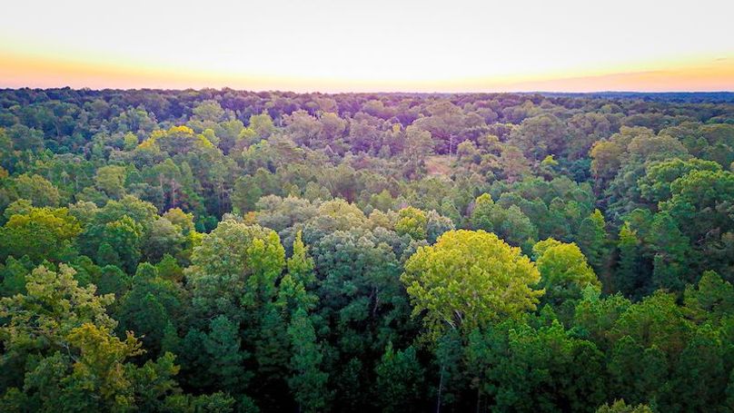 Hinds Co - 78 - Newman-11