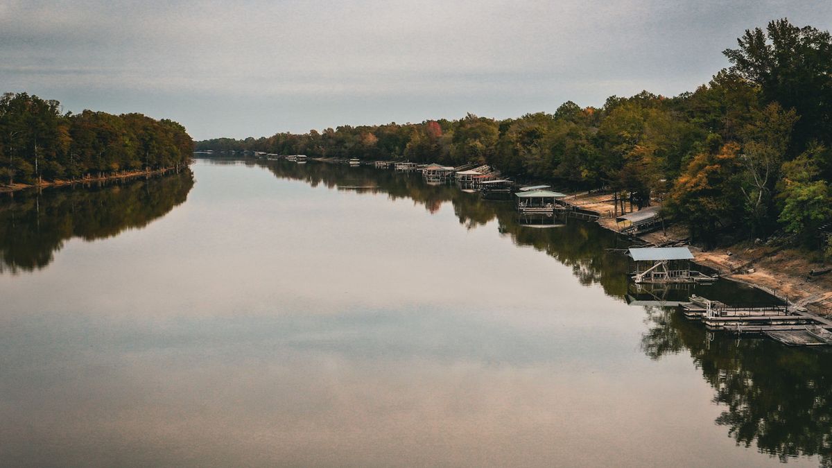 Maddox Bay Acreage Adjacent To The White River Refuge Whitetail