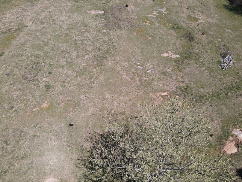 DJI_0224