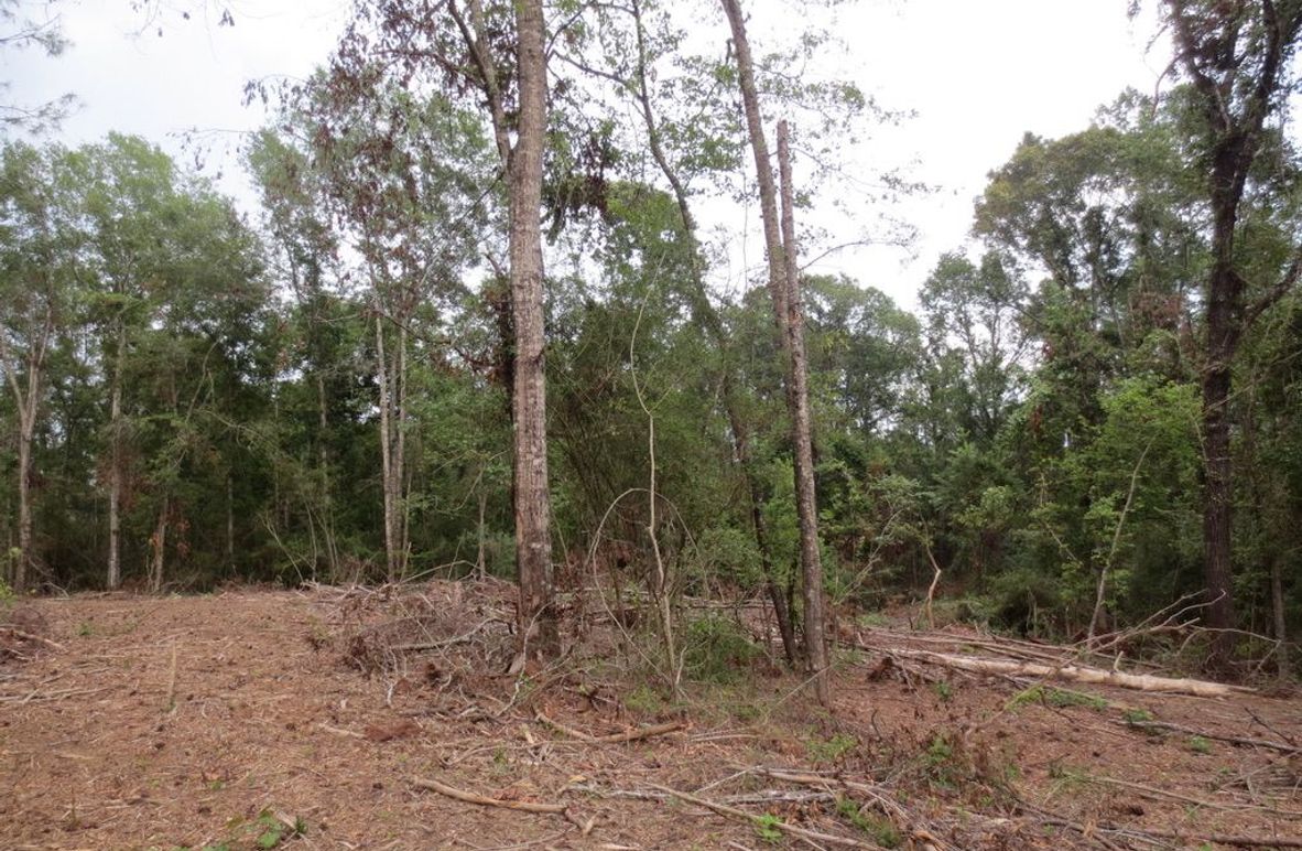 4E6CB0AE-6C30-4E15-A0C8-53DCBBA395BA_1_105_c