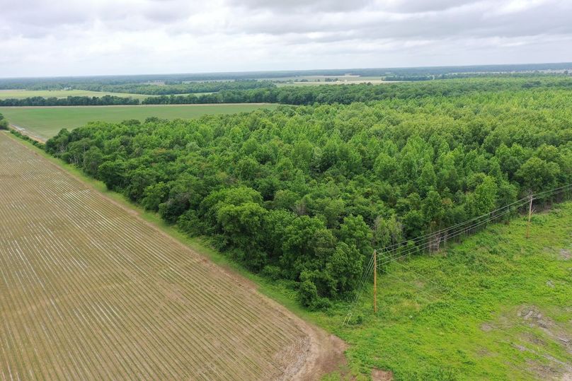 DJI_0865