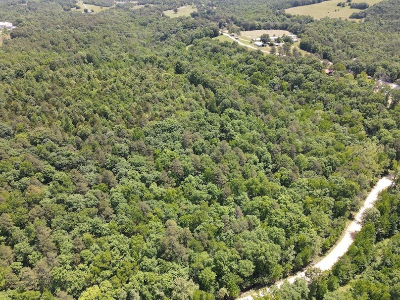 dji_fly_20260514_121516_813_1778778989061_photo