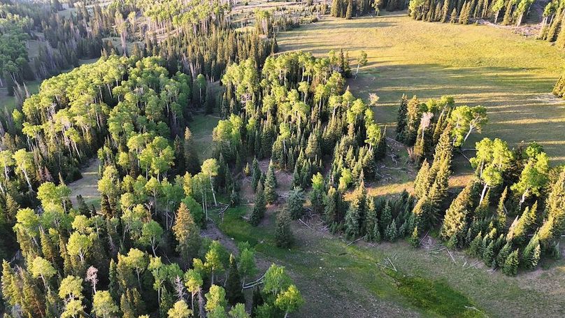 DJI_20250628065019_0169_D