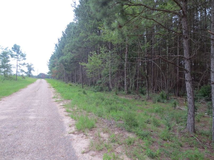 021206DE-08D9-4AEC-948A-F0786E1B8A22_1_105_c