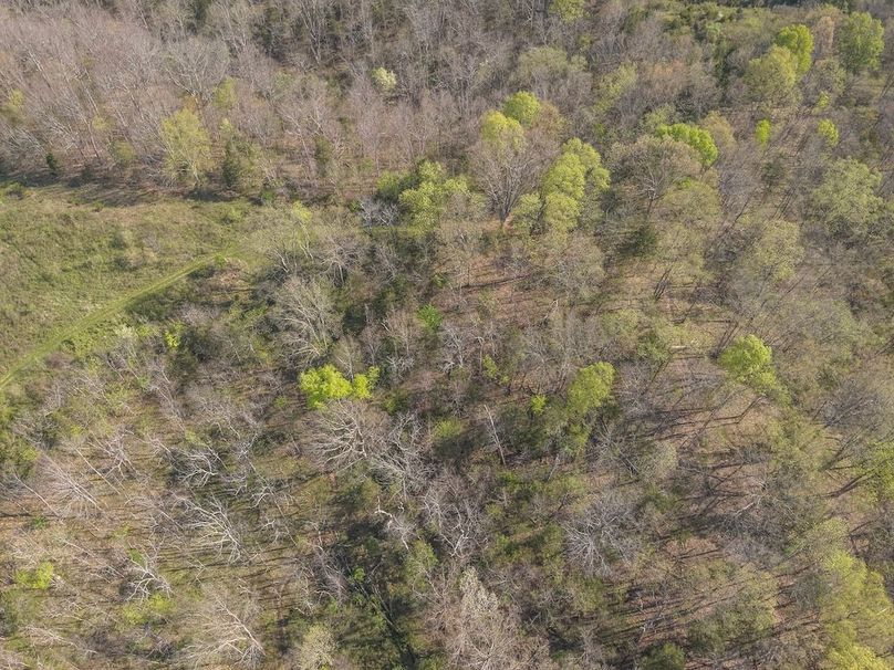 10-DJI_20260412101437_0010_W