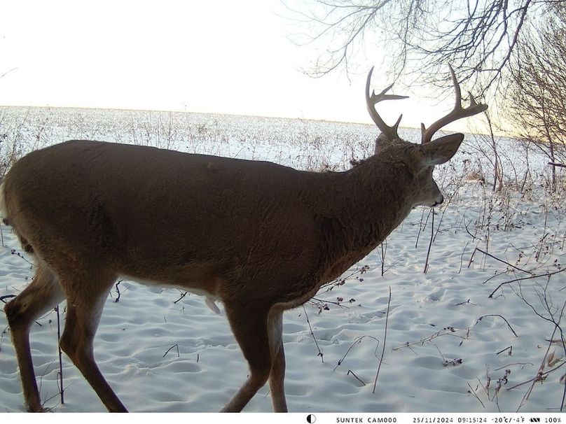 2024-1125-091524_000279